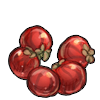 Poisonous Berries