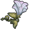 Mountain Flowers