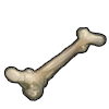 Perfect Bone